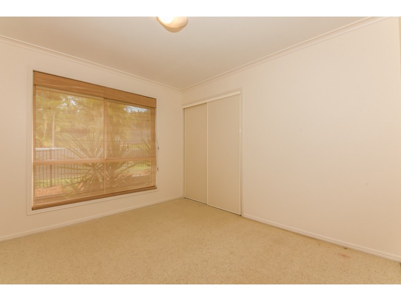 17 Watergum Place, Black Mountain QLD 4563