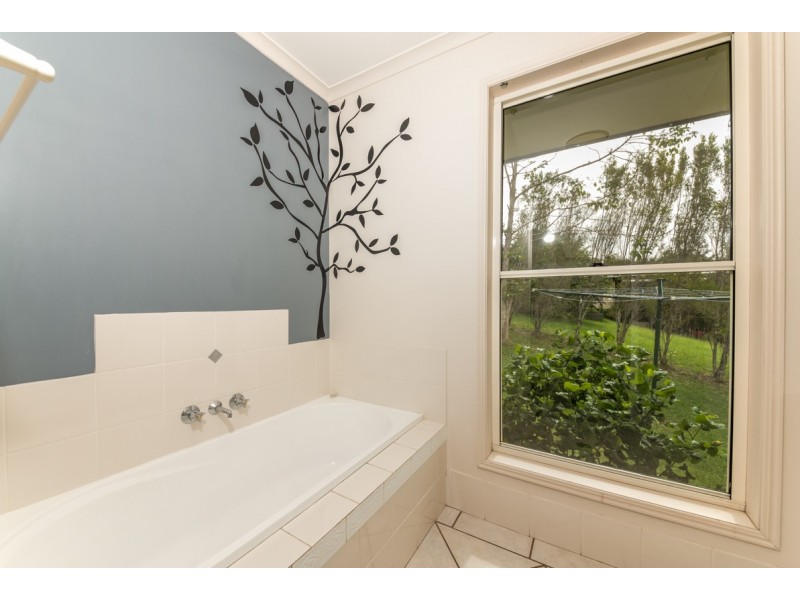 17 Watergum Place, Black Mountain QLD 4563