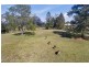 29 Pound Road, Pomona QLD 4568