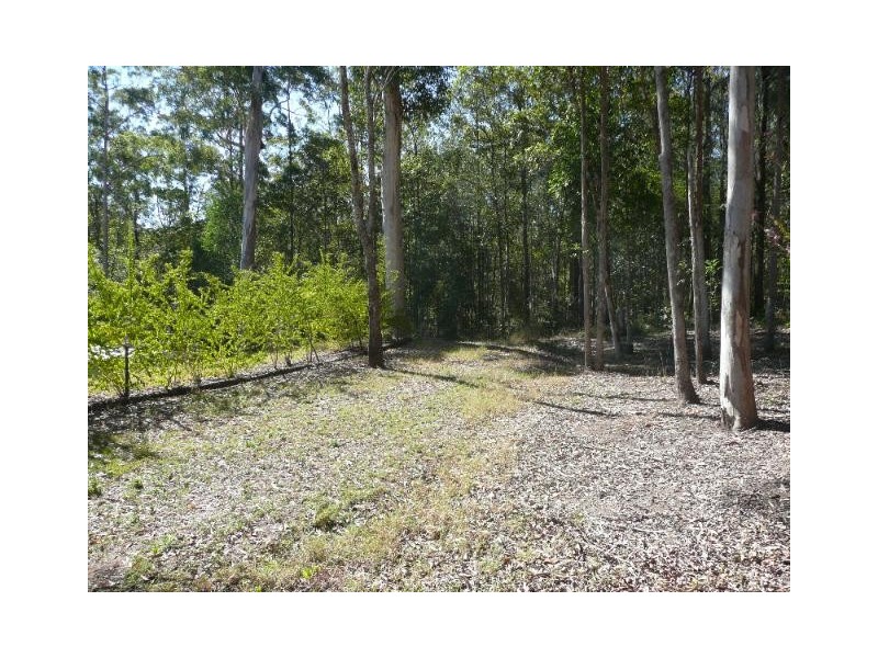 Carters Ridge QLD 4563