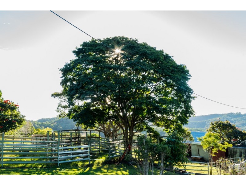 430 Black Mountain Road, Black Mountain QLD 4563