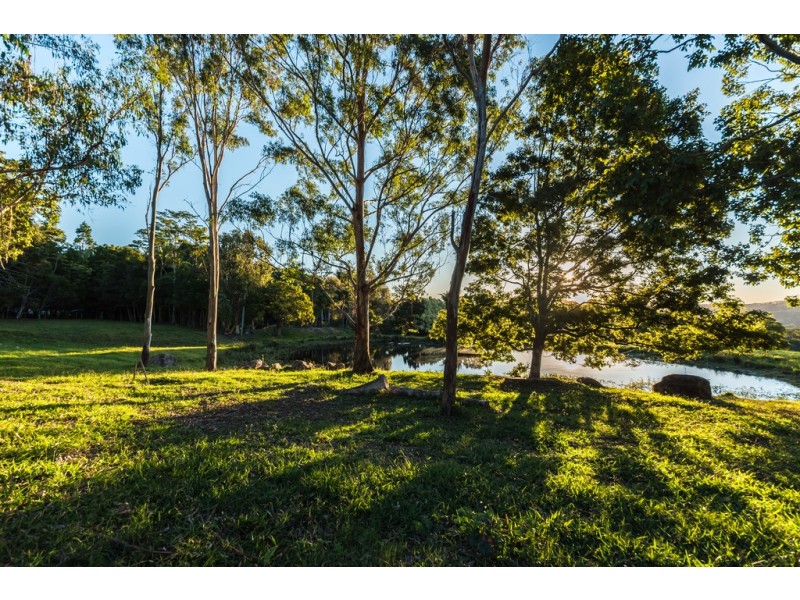 430 Black Mountain Road, Black Mountain QLD 4563