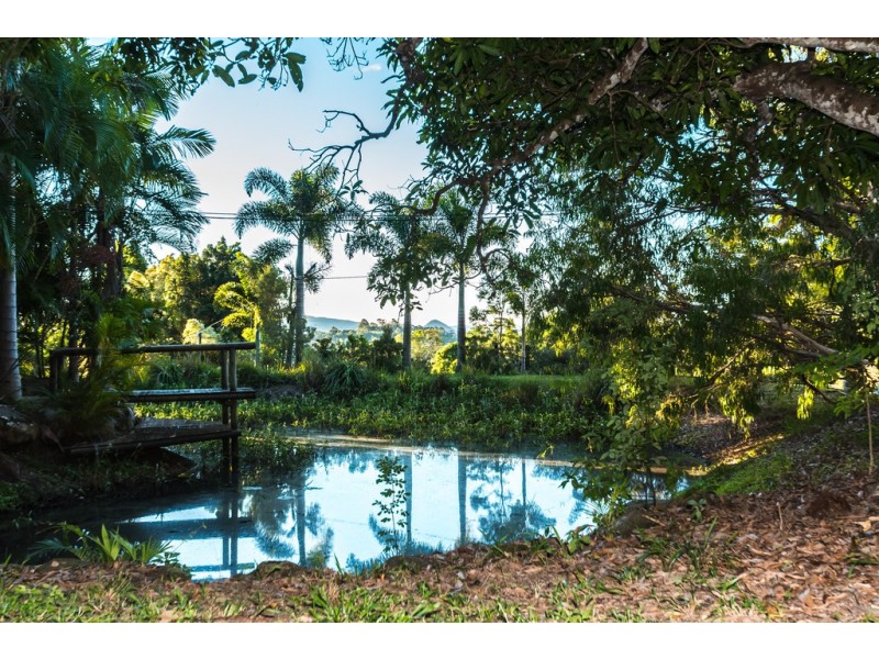 430 Black Mountain Road, Black Mountain QLD 4563