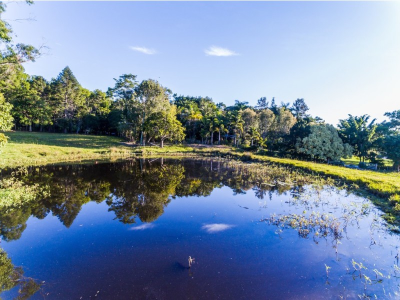 430 Black Mountain Road, Black Mountain QLD 4563