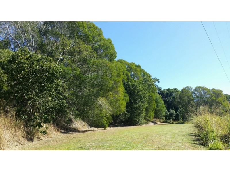 42 Black Mountain Range Road, Black Mountain QLD 4563