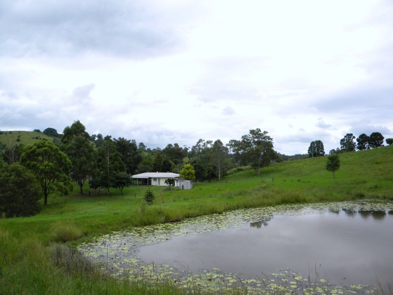 221 Schreibers Road, Cooran QLD 4569