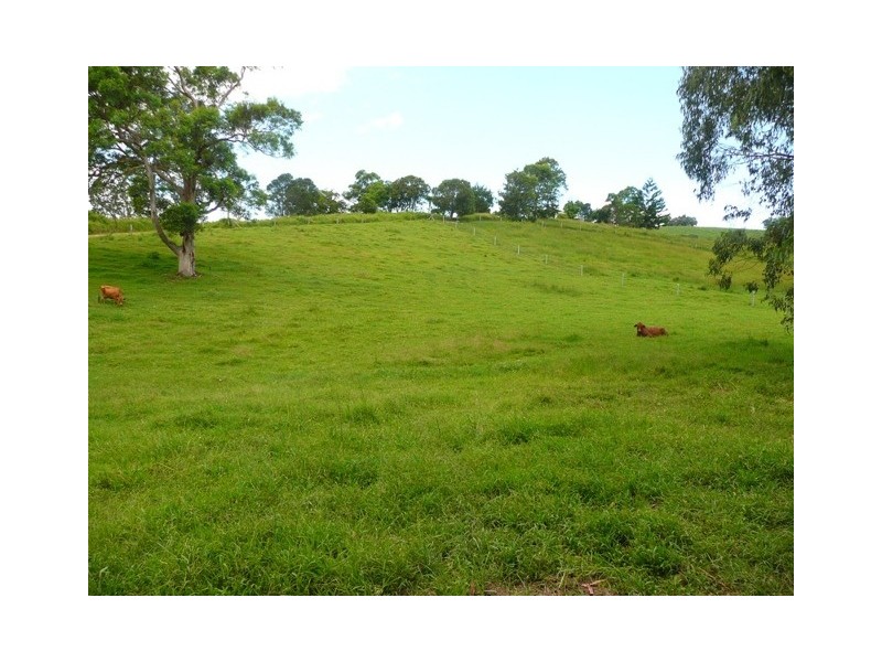 221 Schreibers Road, Cooran QLD 4569