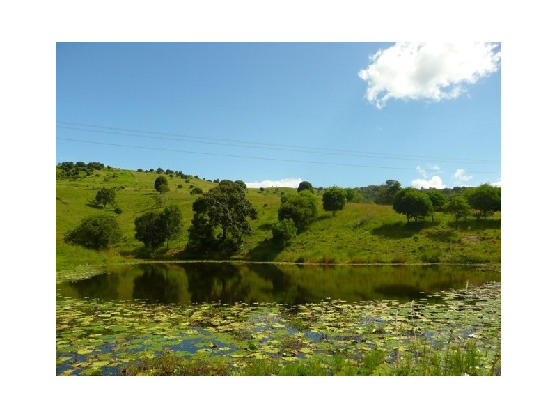 221 Schreibers Road, Cooran QLD 4569