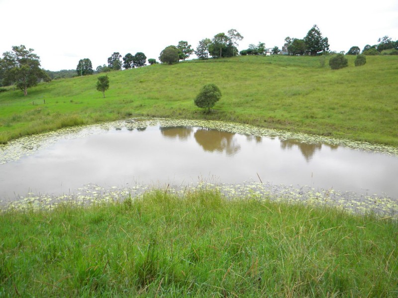 221 Schreibers Road, Cooran QLD 4569