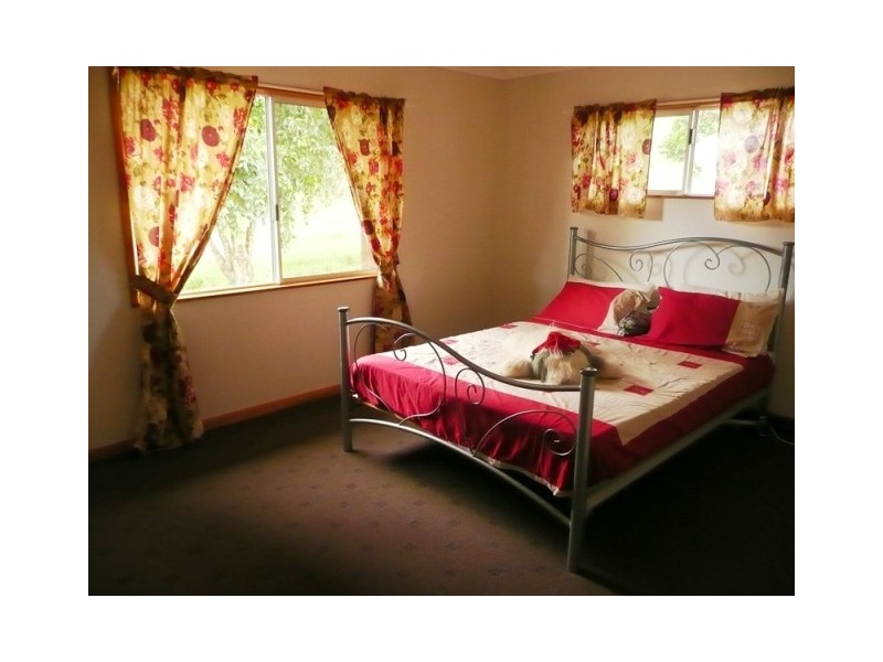 221 Schreibers Road, Cooran QLD 4569