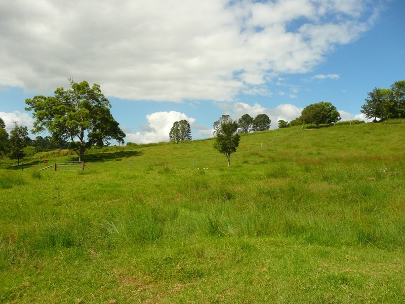 221 Schreibers Road, Cooran QLD 4569