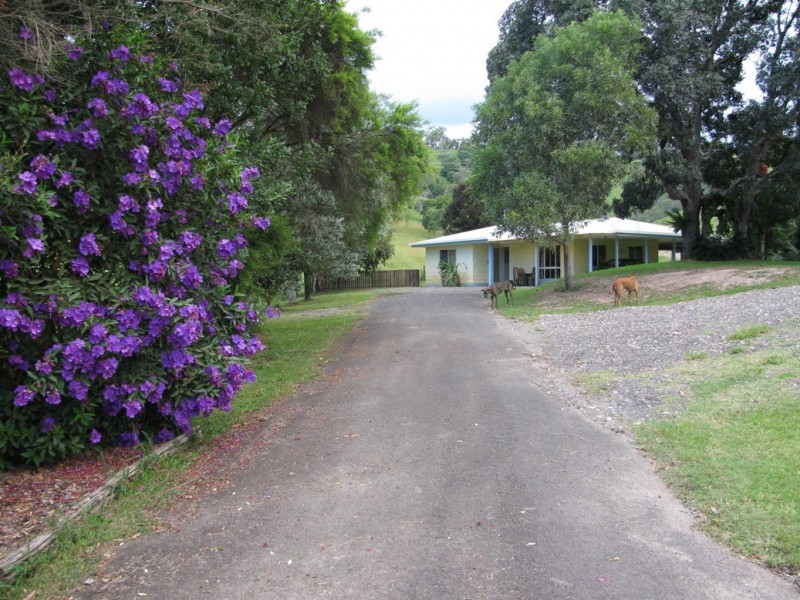 221 Schreibers Road, Cooran QLD 4569