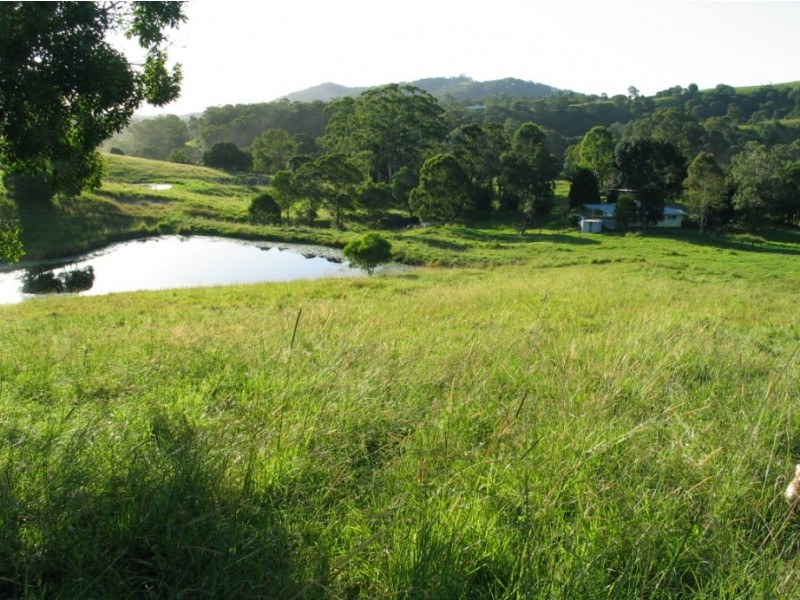 221 Schreibers Road, Cooran QLD 4569