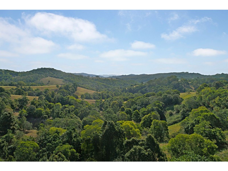 370 Black Mountain Road, Black Mountain QLD 4563