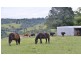 532 Black Mountain Road, Black Mountain QLD 4563