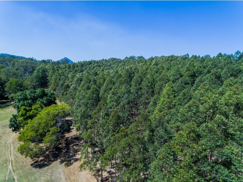 Cooran QLD 4569
