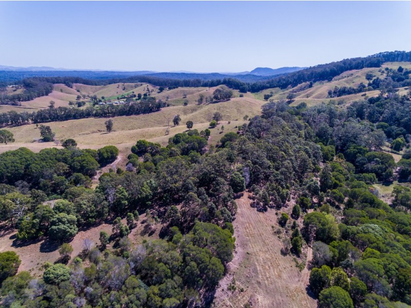 Cooran QLD 4569