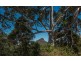 Cooran QLD 4569