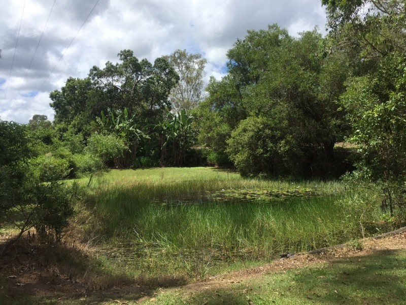 41 Railway Road, Cooran QLD 4569