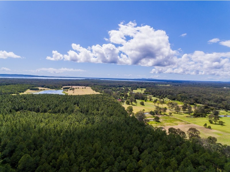 990 Cootharaba Road, Cootharaba QLD 4565