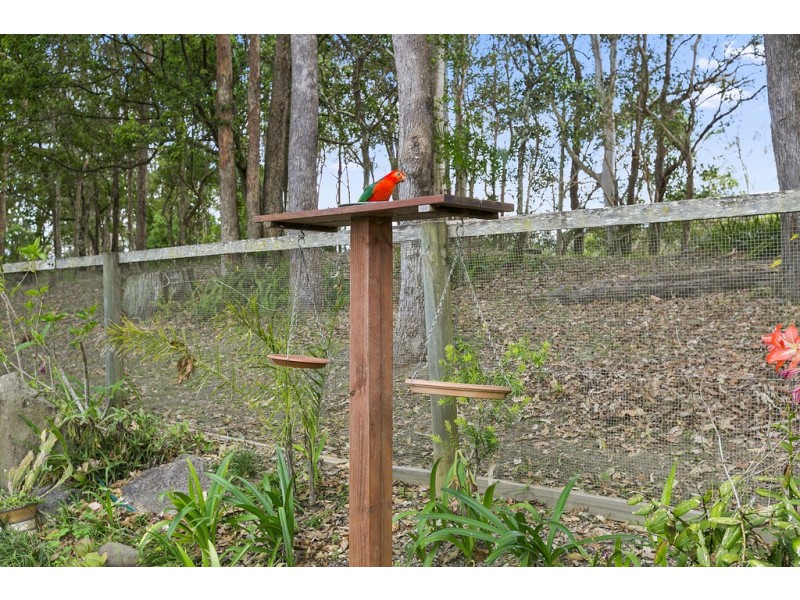 70 Evans Road, Black Mountain QLD 4563