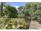 23 Tronson Road, Ringtail Creek QLD 4565