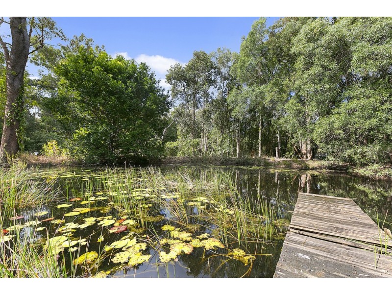 23 Tronson Road, Ringtail Creek QLD 4565