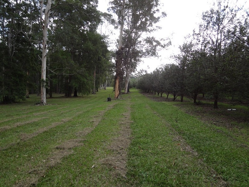 100 Station Street, Pomona QLD 4568