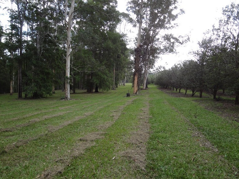 100 Station Street, Pomona QLD 4568