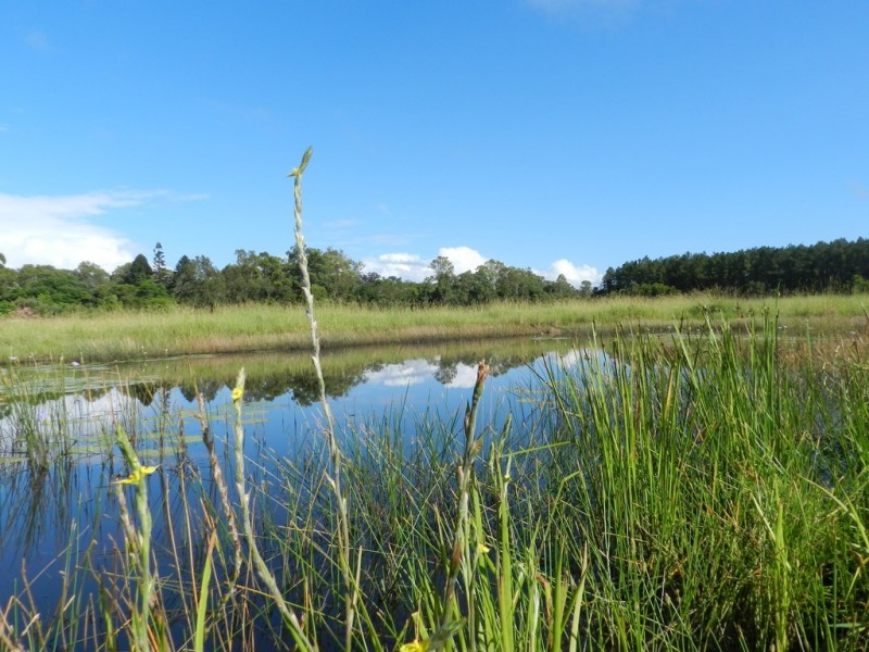 55 Yarrabin Road, Bollier QLD 4570