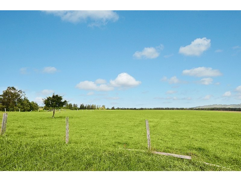 33 Rickard Road, Yandina Creek QLD 4561