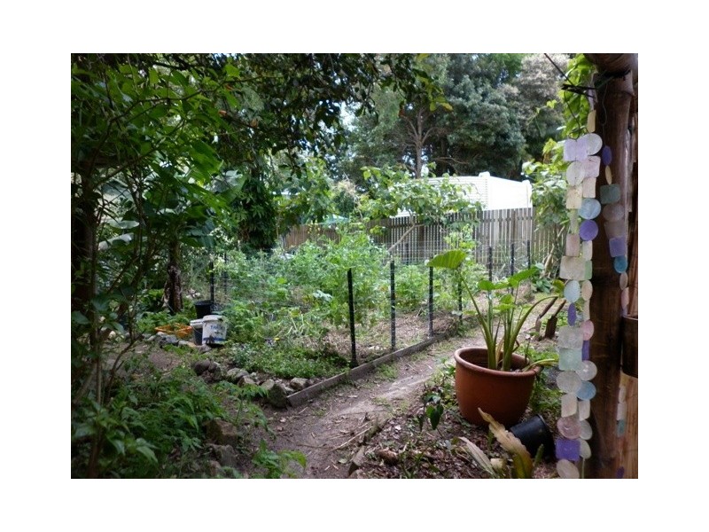 Boreen Point QLD 4565