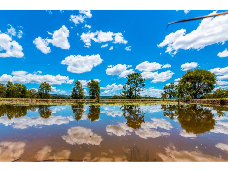 1065 Cootharaba Road, Cootharaba QLD 4565