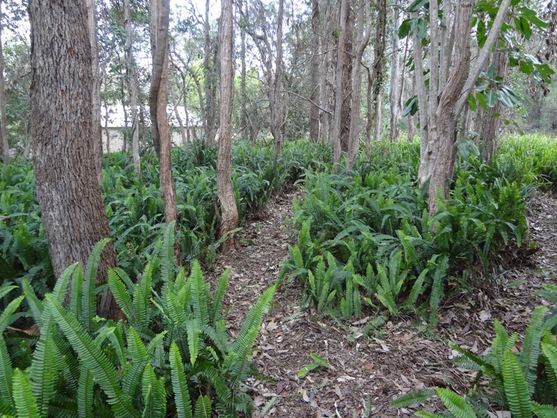 6-8 King Street, Traveston QLD 4570