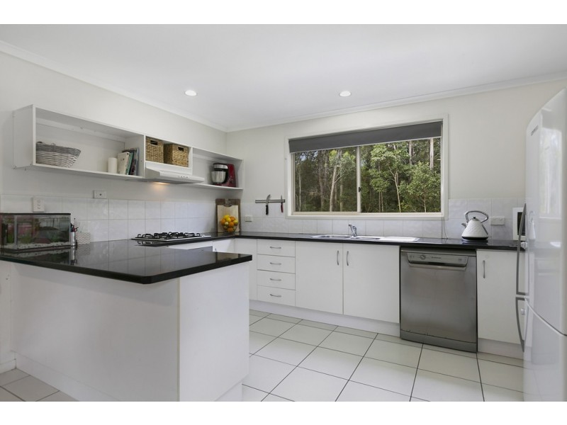 250 Blueberry Drive, Black Mountain QLD 4563