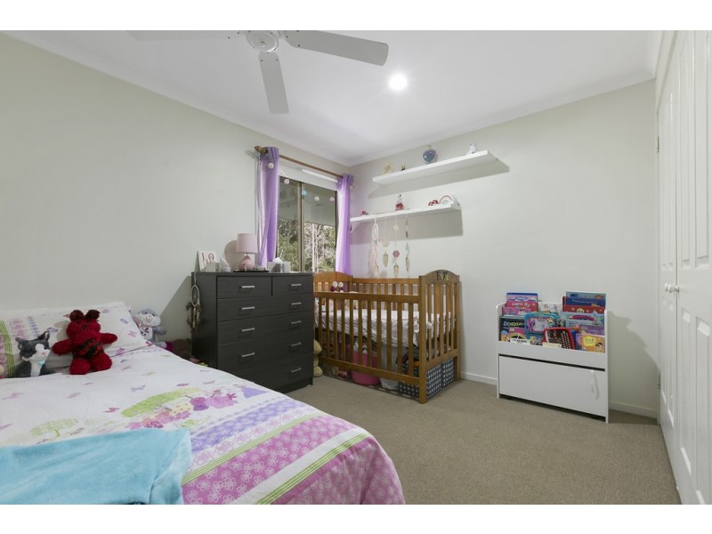 250 Blueberry Drive, Black Mountain QLD 4563