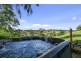 647 Cooroy Belli Creek Road, Black Mountain QLD 4563