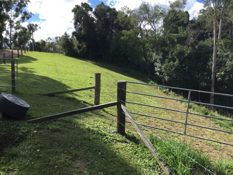 647 Cooroy Belli Creek Road, Black Mountain QLD 4563
