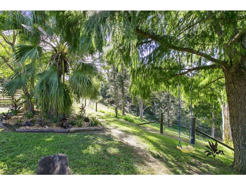 647 Cooroy Belli Creek Road, Black Mountain QLD 4563