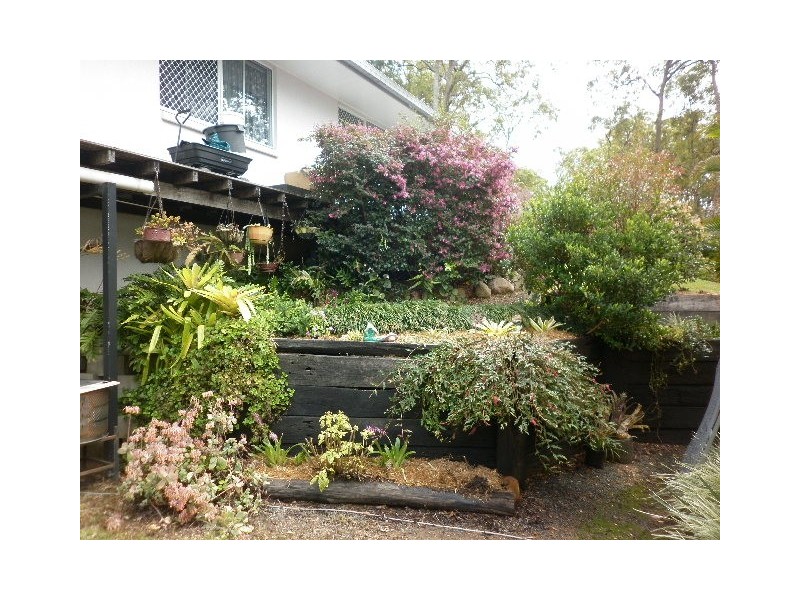 Carters Ridge QLD 4563