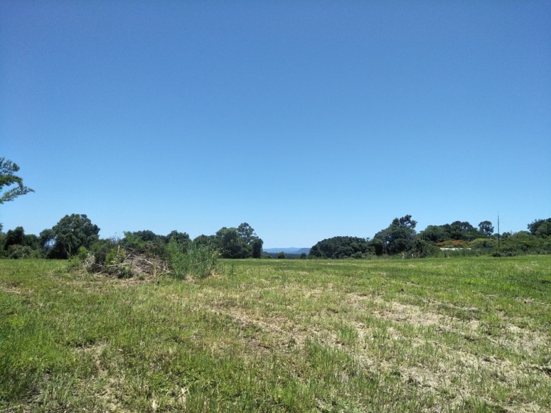 Black Mountain QLD 4563