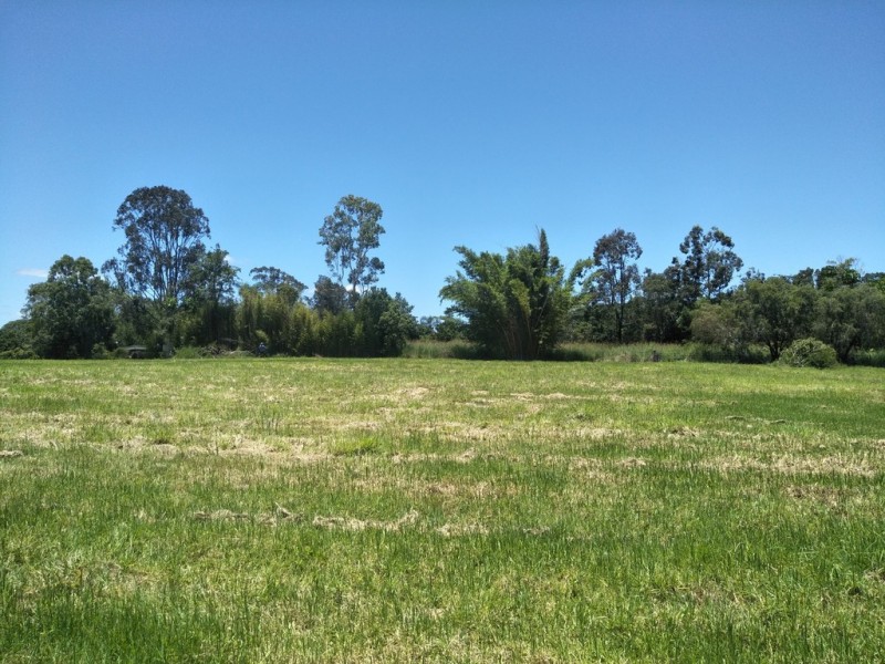 Black Mountain QLD 4563