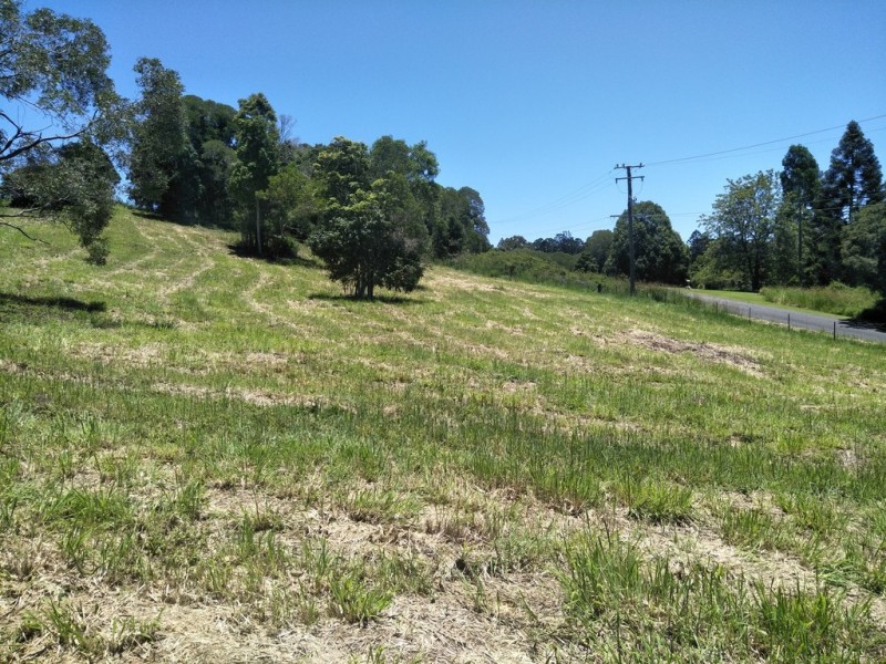 Black Mountain QLD 4563