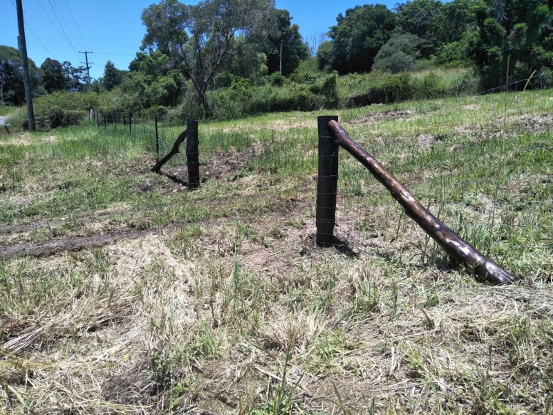 Black Mountain QLD 4563