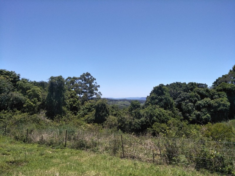 Black Mountain QLD 4563