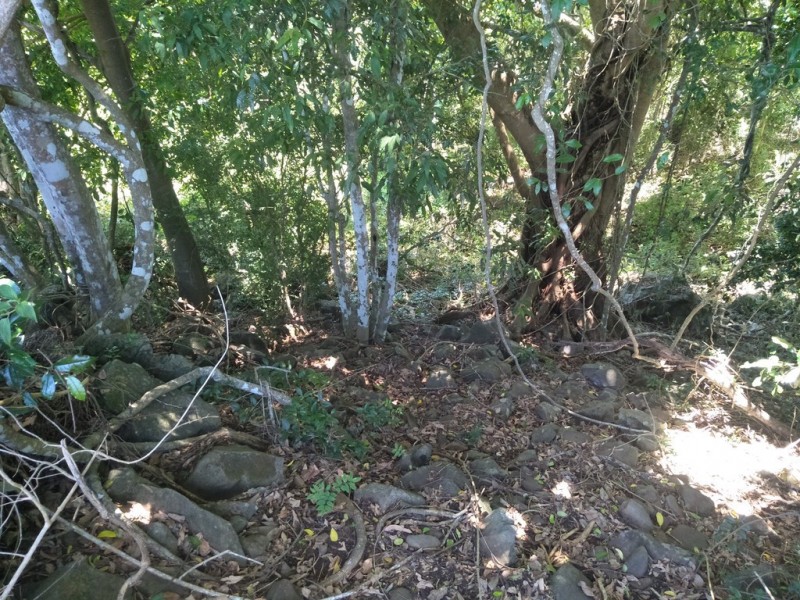 Black Mountain QLD 4563