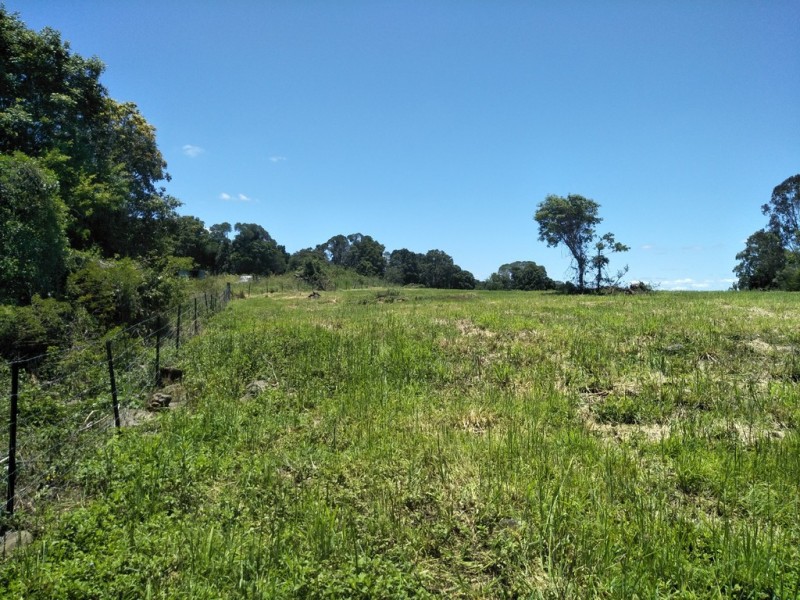 Black Mountain QLD 4563