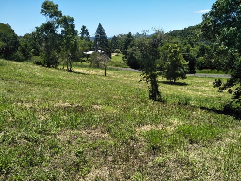 Black Mountain QLD 4563