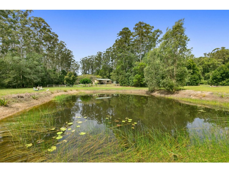 785 Ringtail Creek Road, Pomona QLD 4568
