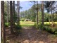 785 Ringtail Creek Road, Pomona QLD 4568